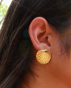 Seashell Gold Earrings
